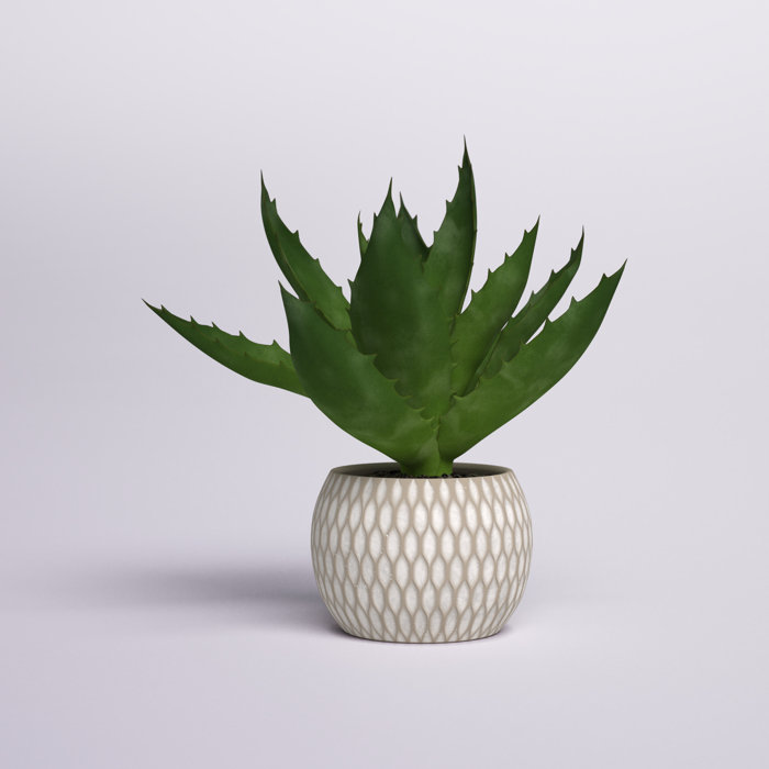 Hashtag Home 11'' Faux Succulent Plant in Pot & Reviews Wayfair